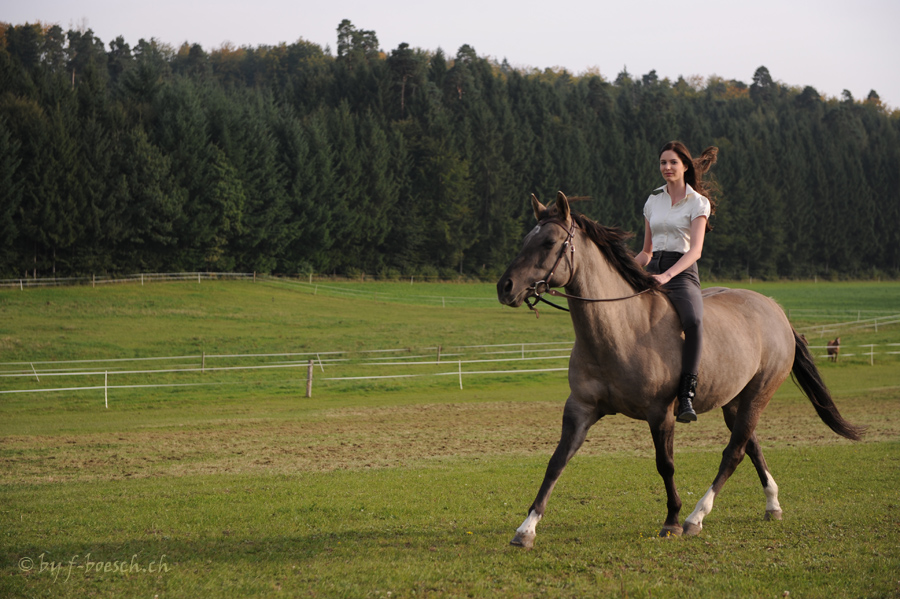 Pferdeshooting mit Jana 