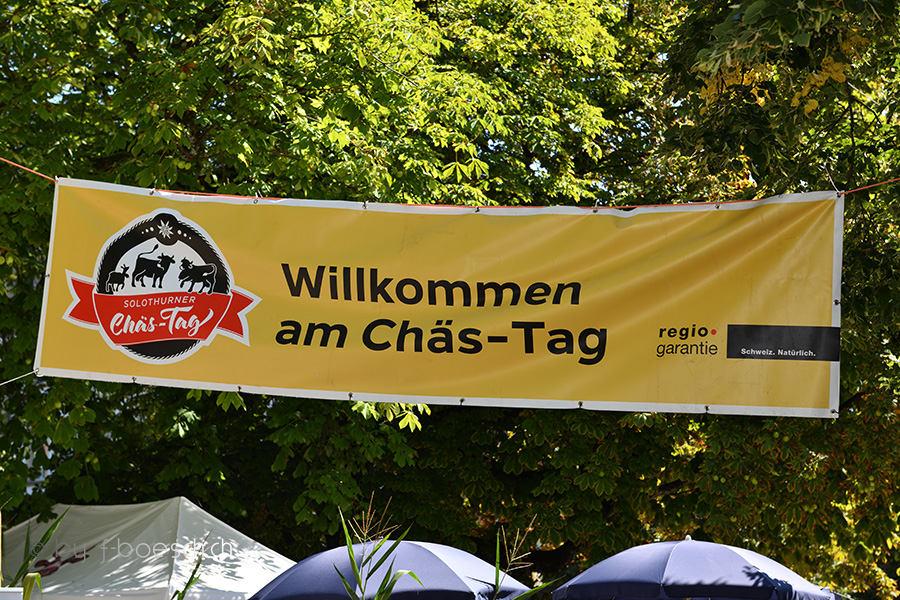 13. Solothurner  Chaes-Tag 
